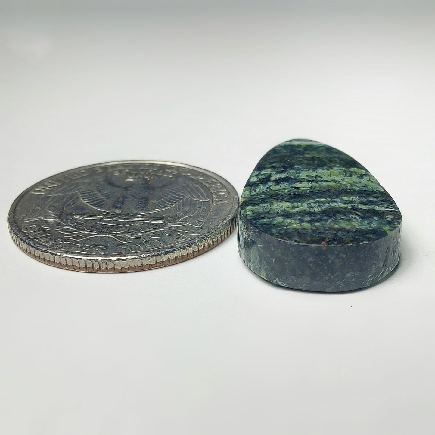 Zebra Jasper