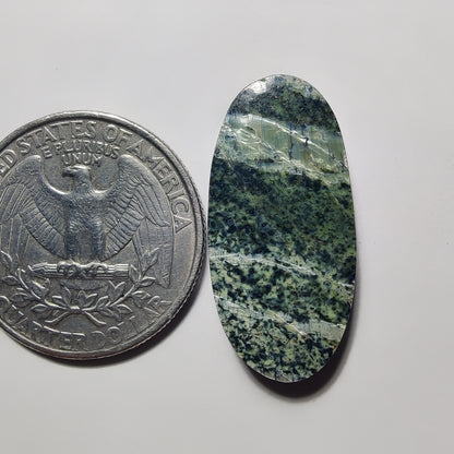 Zebra Jasper gemstone cabochon - natural crystal healing stone for jewelry making by Gemivra