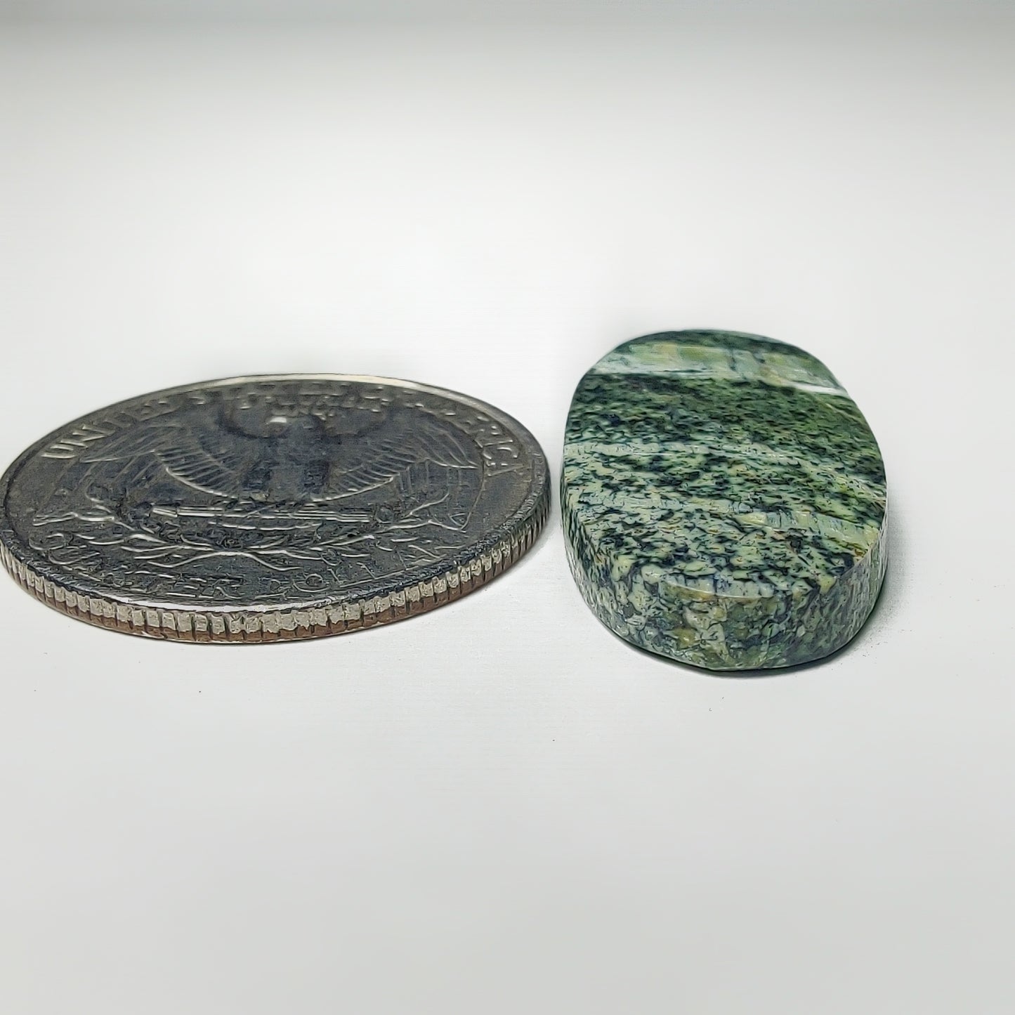 Zebra Jasper