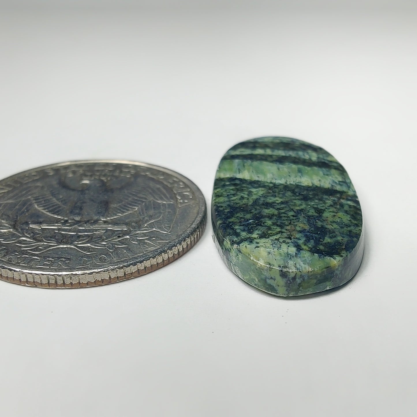 Zebra Jasper