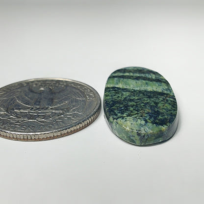 Zebra Jasper