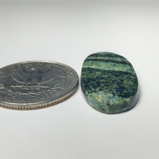 Zebra Jasper