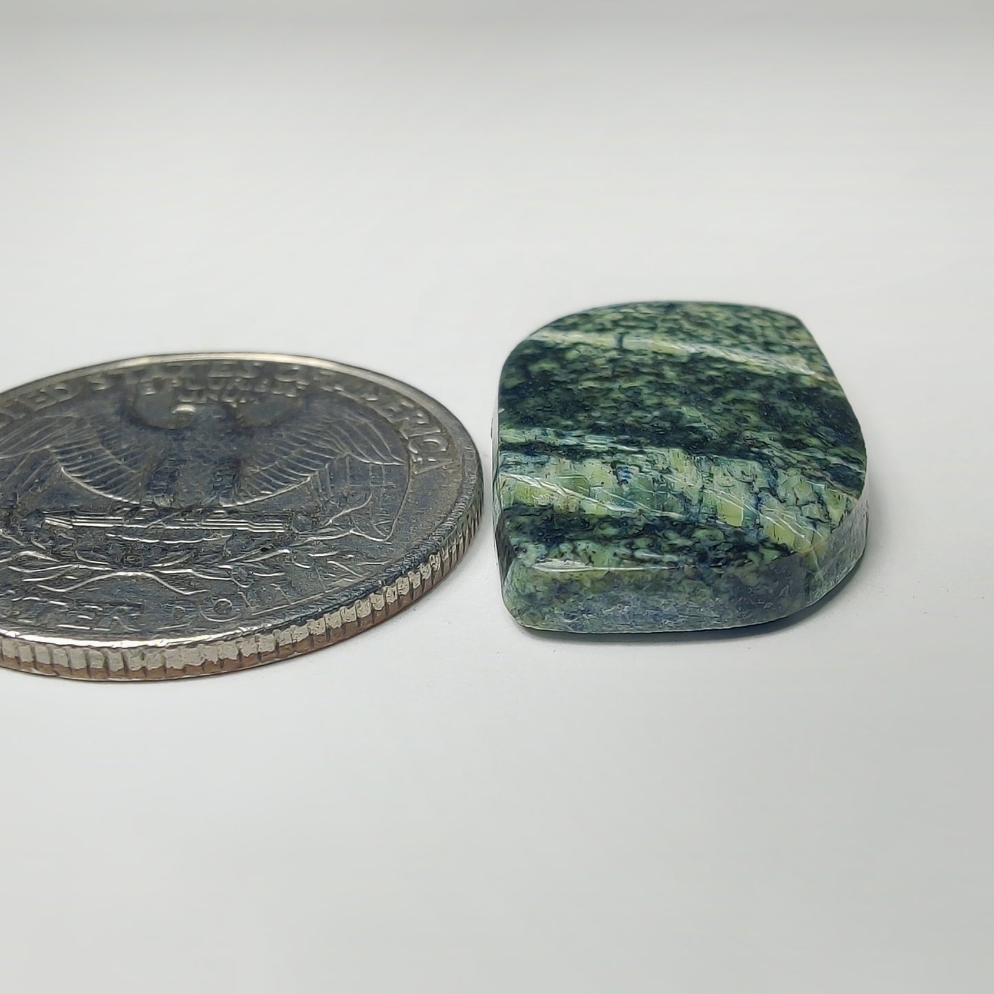 Zebra Jasper