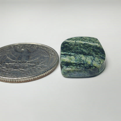 Zebra Jasper