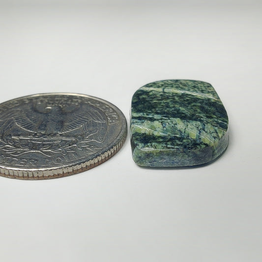 Zebra Jasper