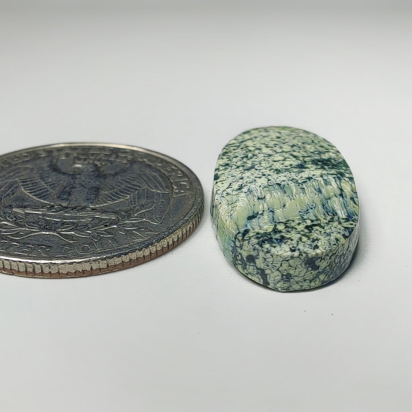 Zebra Jasper