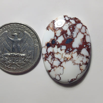 Wild Horse Jasper gemstone cabochon - natural crystal healing stone for jewelry making by Gemivra