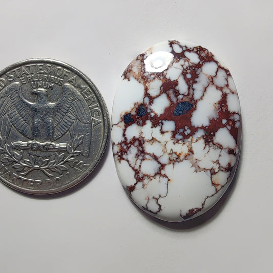 Wild Horse Jasper gemstone cabochon - natural crystal healing stone for jewelry making by Gemivra