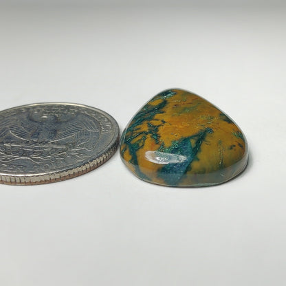 Thunder Agate