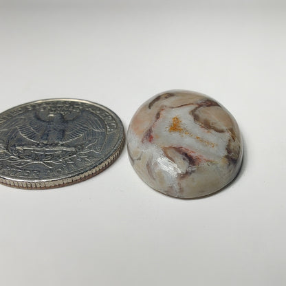 Wave Jasper
