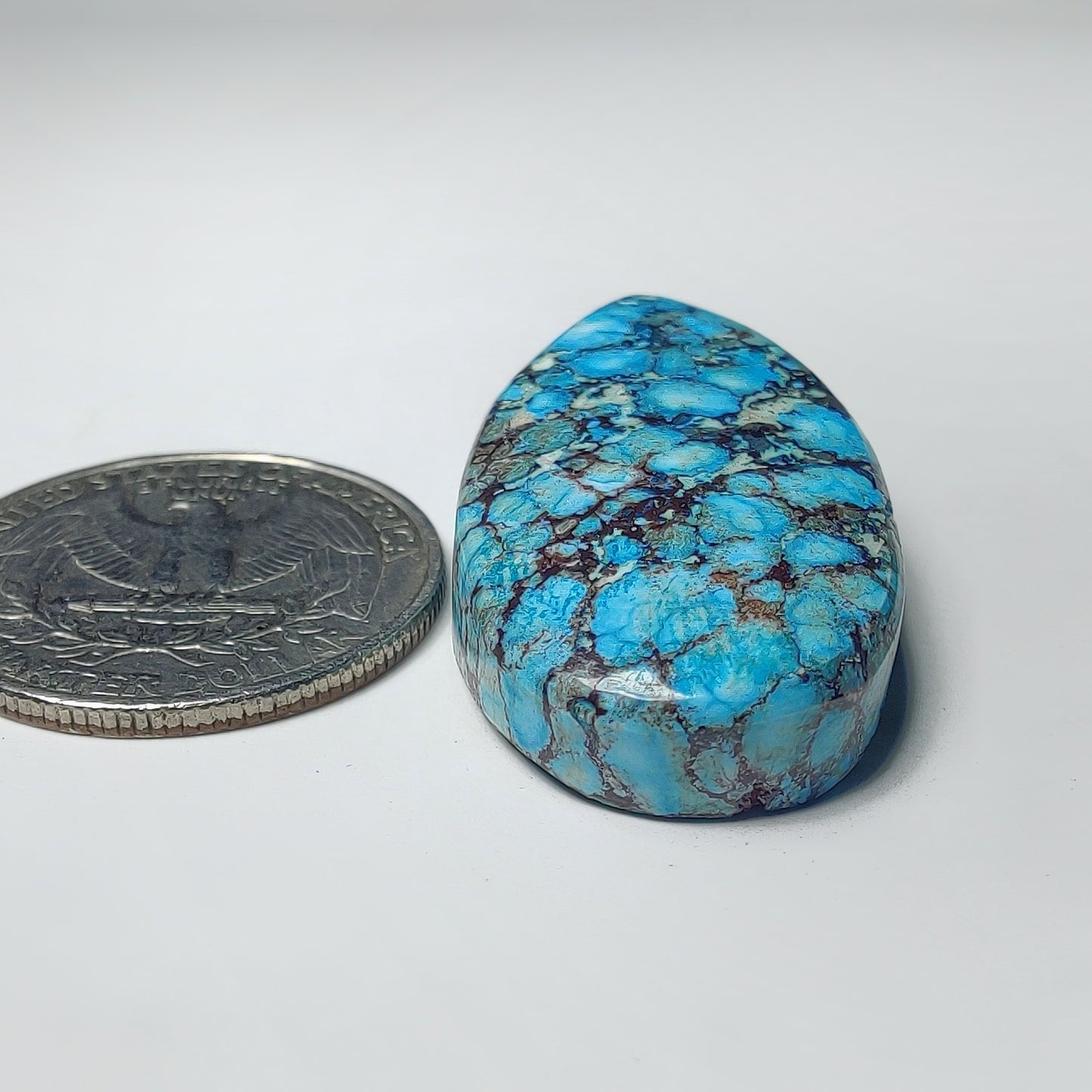 Dyed Turquoise