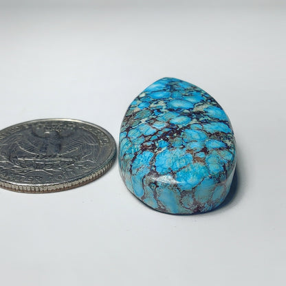 Dyed Turquoise