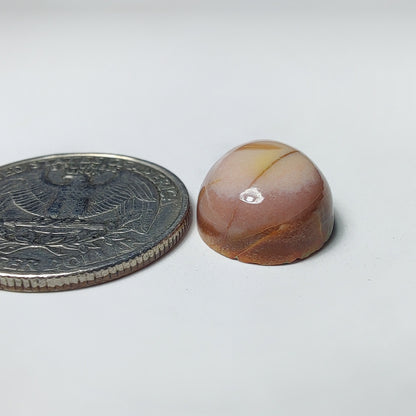 Polychrome Jasper