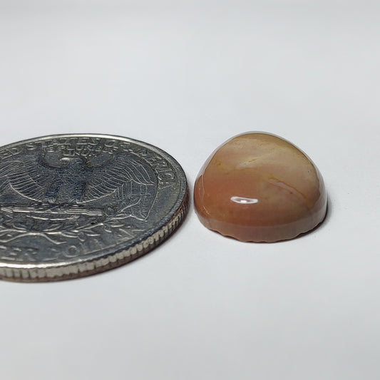 Polychrome Jasper
