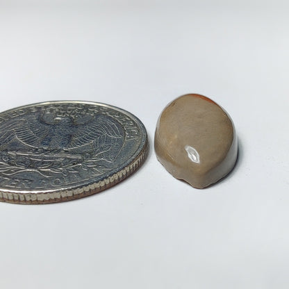 Polychrome Jasper