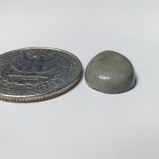 Polychrome Jasper
