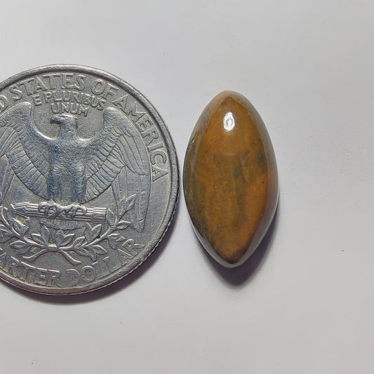Ocean Jasper gemstone cabochon - natural crystal healing stone for jewelry making by Gemivra