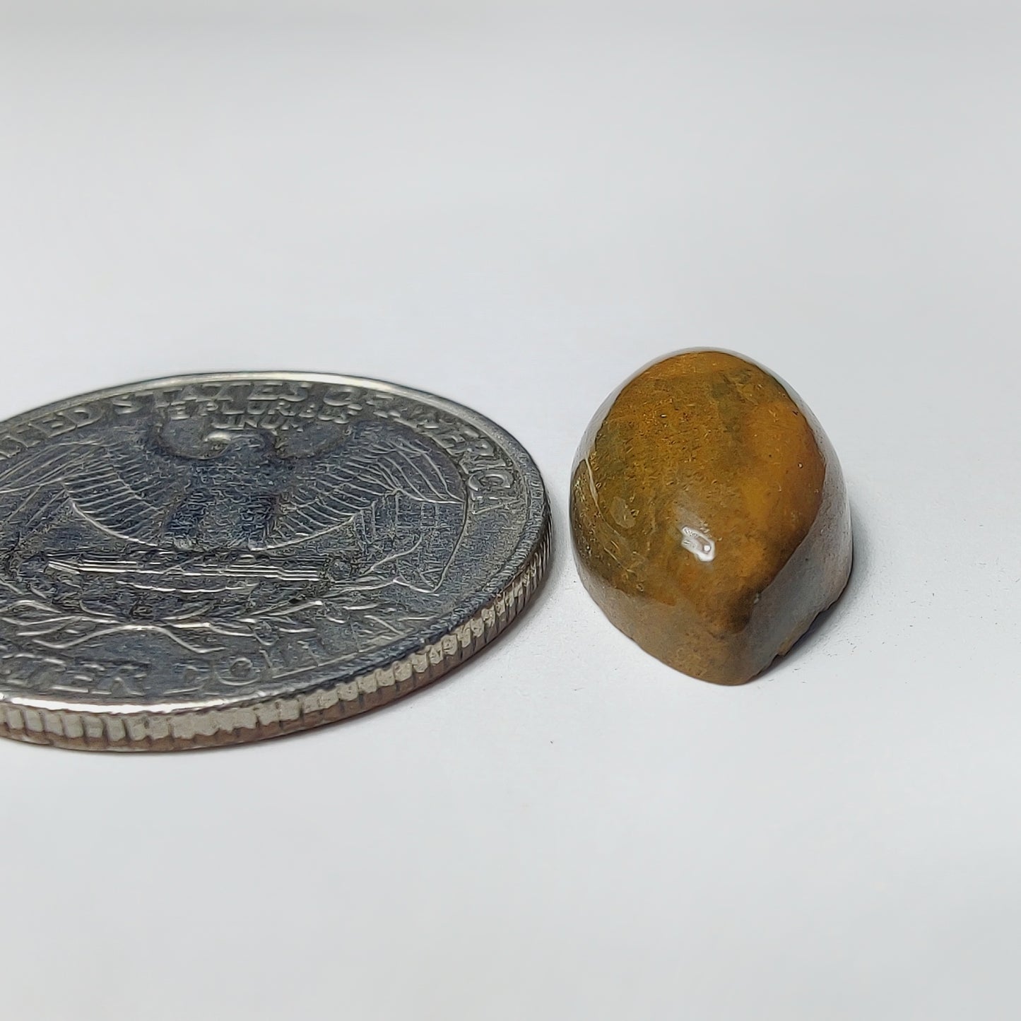 Ocean Jasper