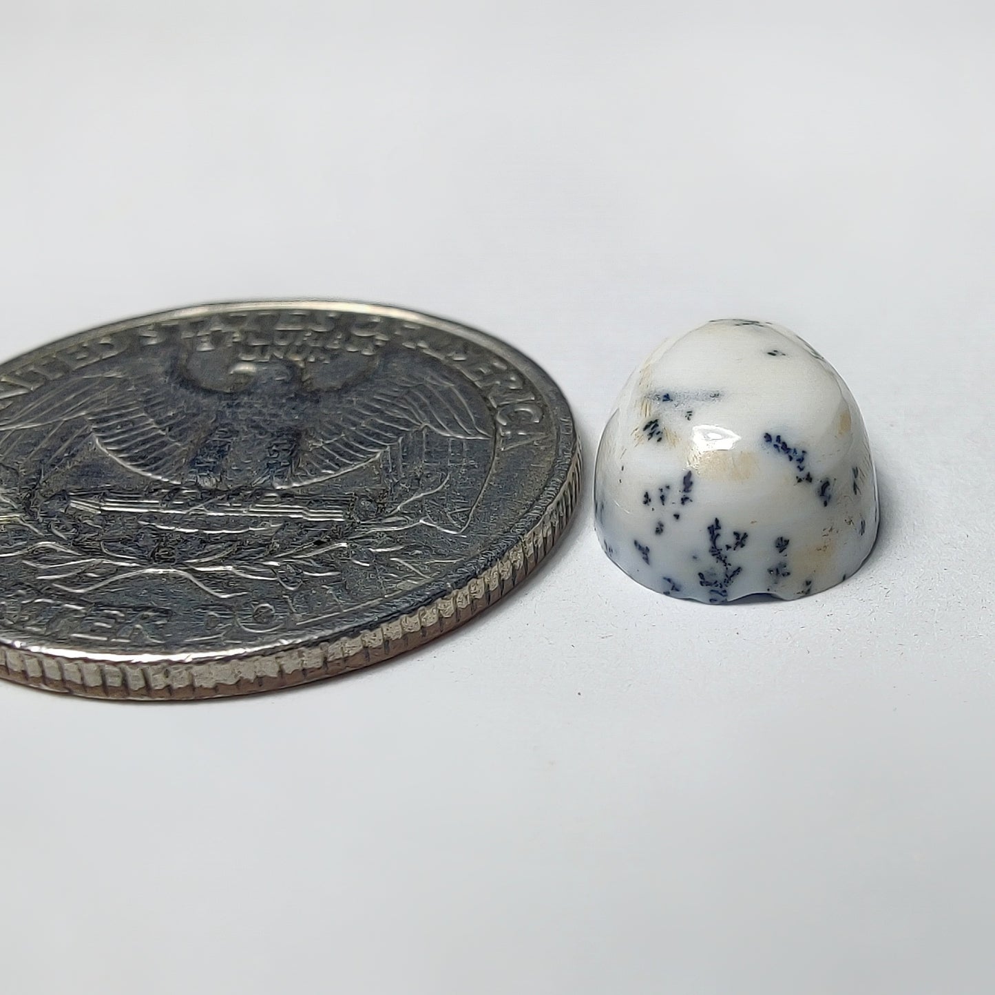 Dendritic Agate