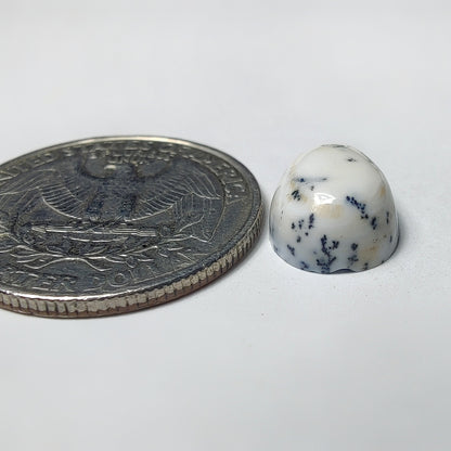 Dendritic Agate