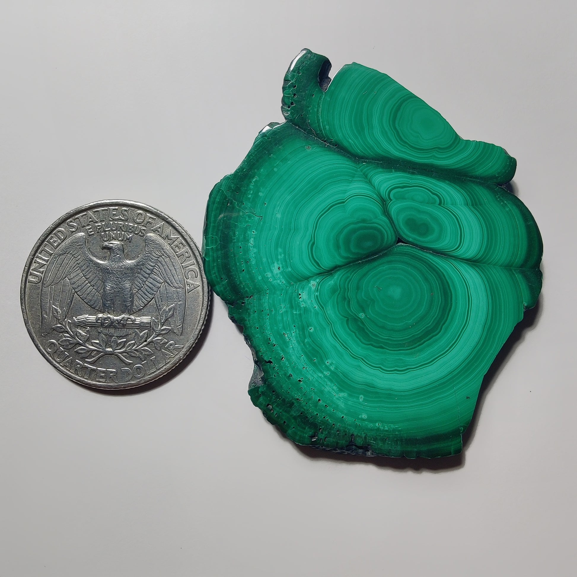 Malachite Slice gemstone cabochon - natural crystal healing stone for jewelry making by Gemivra
