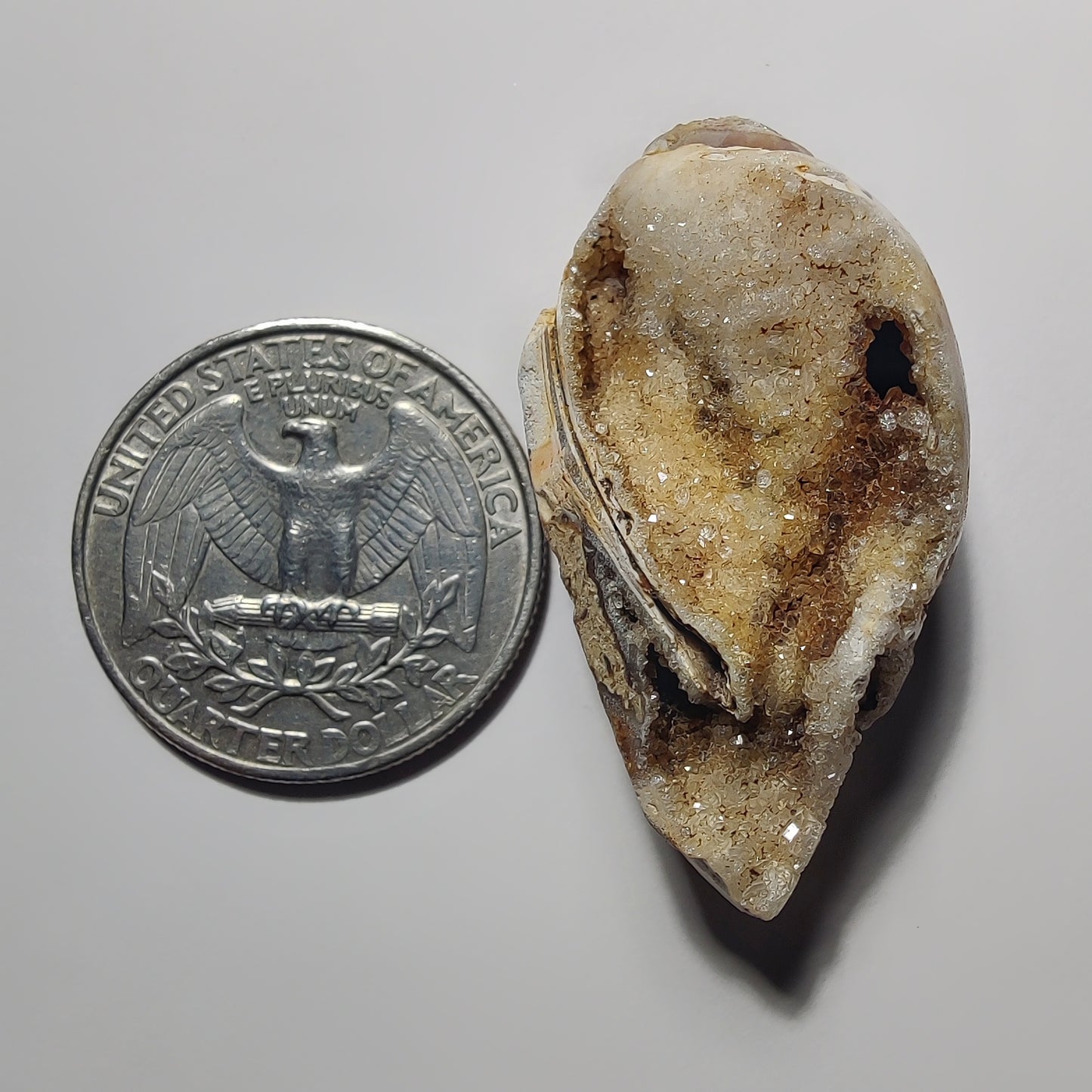 Snail Shell Druzy gemstone cabochon - natural crystal healing stone for jewelry making by Gemivra
