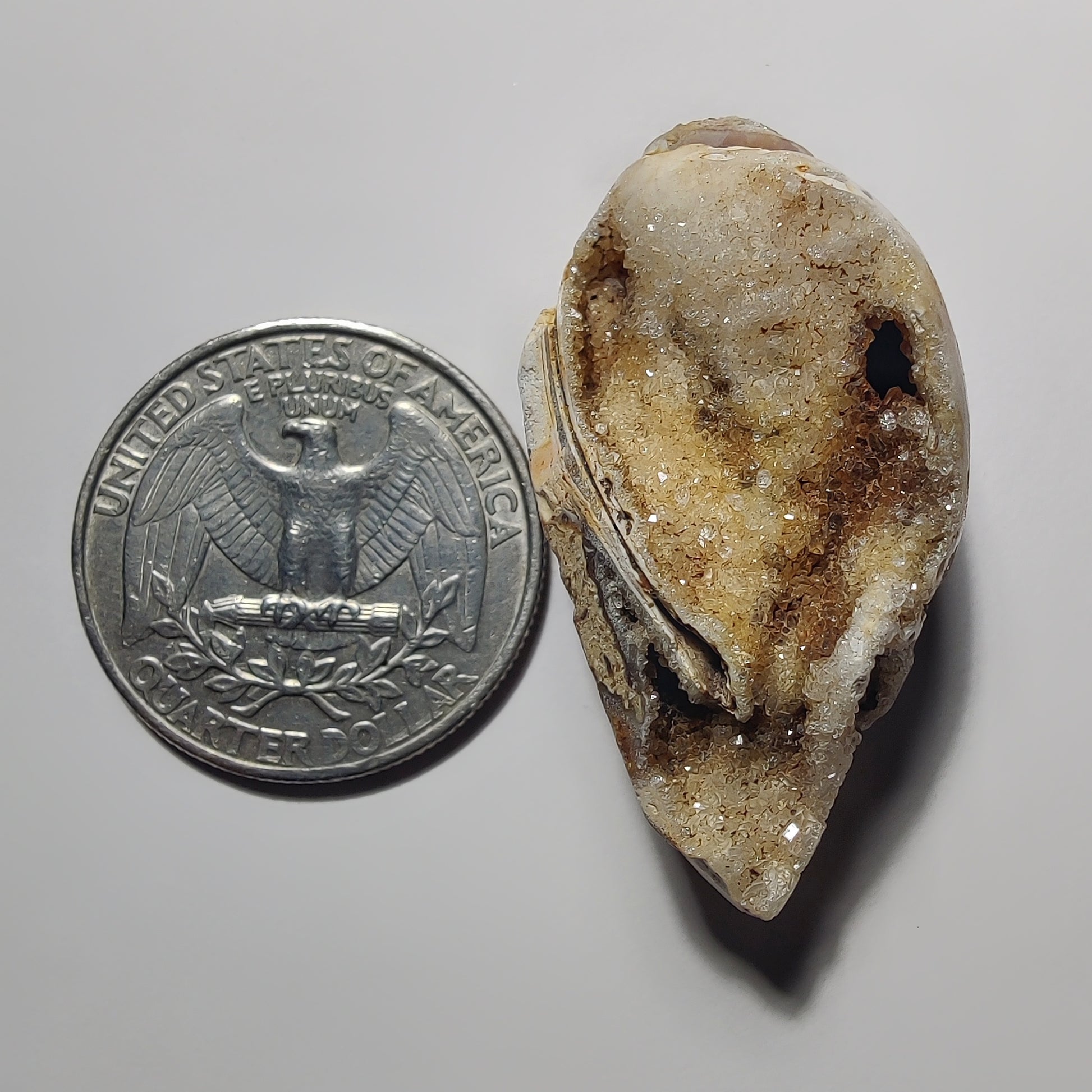 Snail Shell Druzy gemstone cabochon - natural crystal healing stone for jewelry making by Gemivra