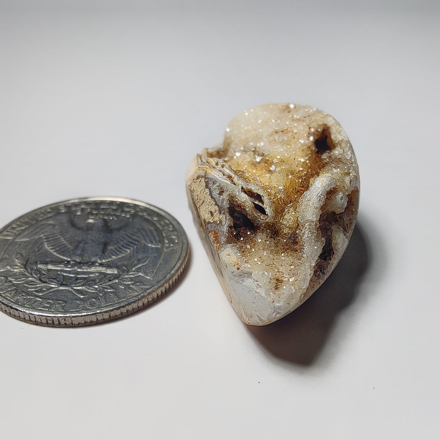 Snail Shell Druzy