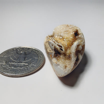 Snail Shell Druzy