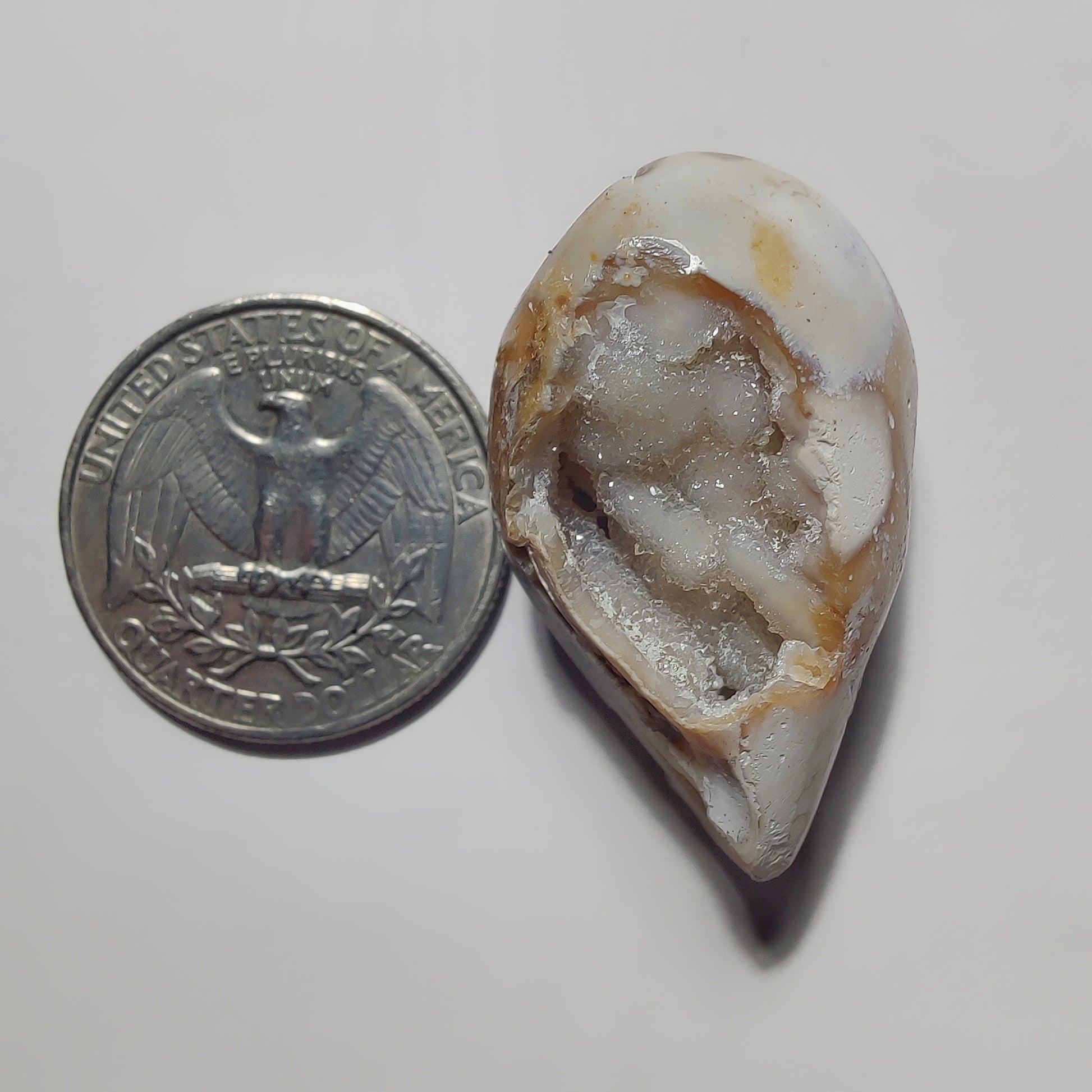 Snail Shell Druzy gemstone cabochon - natural crystal healing stone for jewelry making by Gemivra