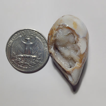 Snail Shell Druzy gemstone cabochon - natural crystal healing stone for jewelry making by Gemivra