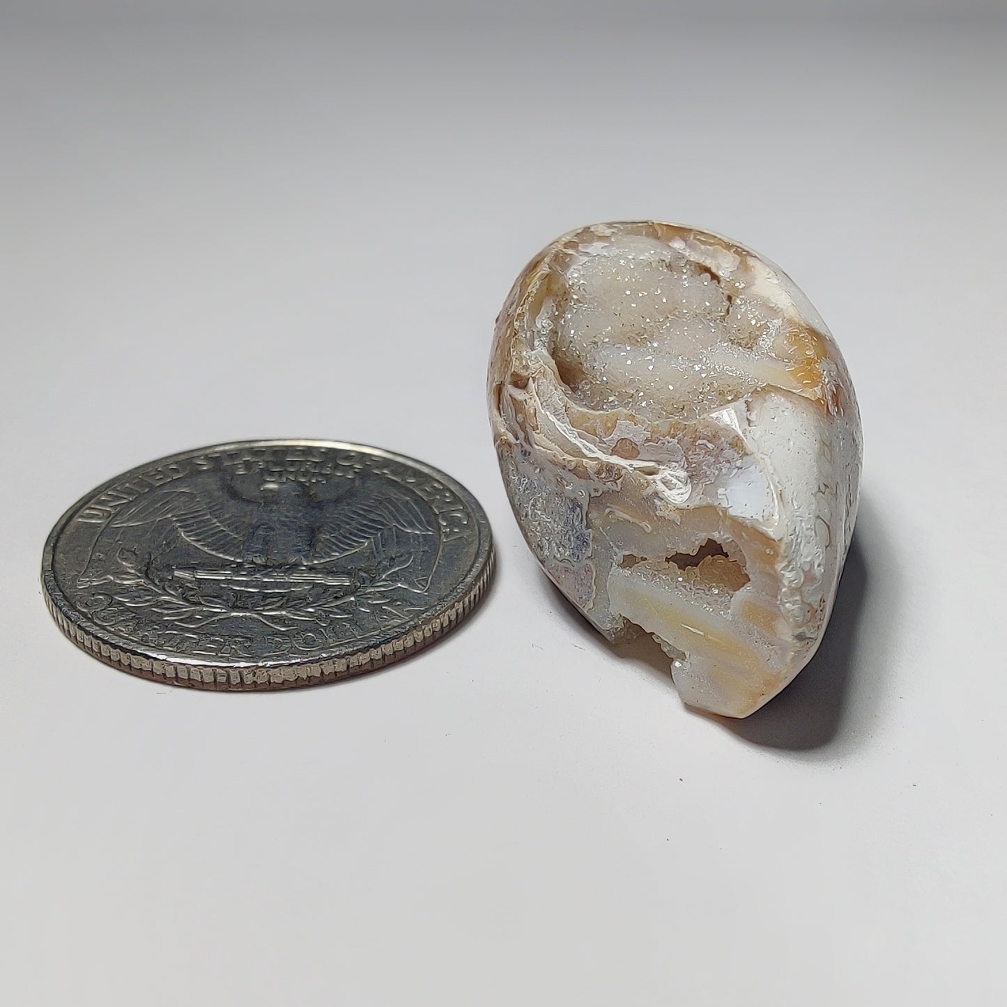 Snail Shell Druzy