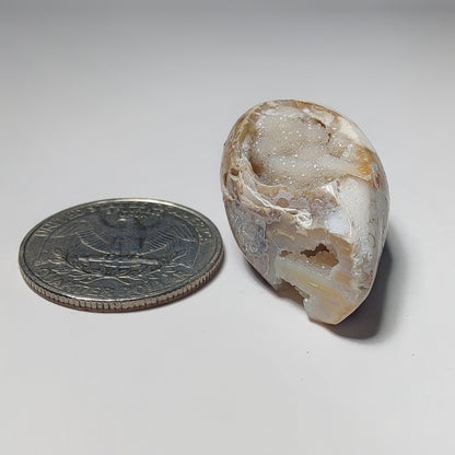 Snail Shell Druzy