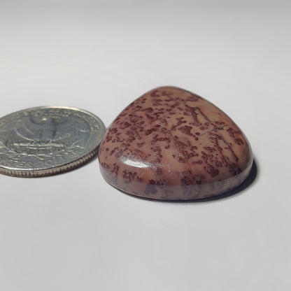 Coffee Bean Jasper