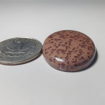 Coffee Bean Jasper