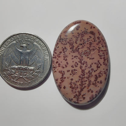 Coffee Bean Jasper gemstone cabochon - natural crystal healing stone for jewelry making by Gemivra