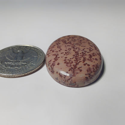 Coffee Bean Jasper