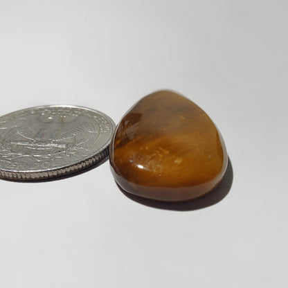Tiger Eye Cabochon