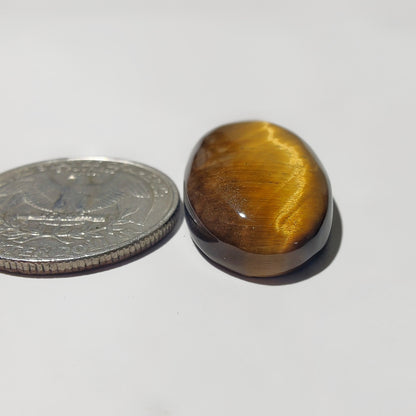 Tiger Eye Cabochon