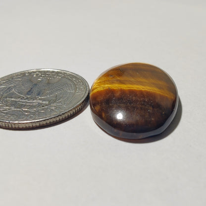 Tiger Eye Cabochon