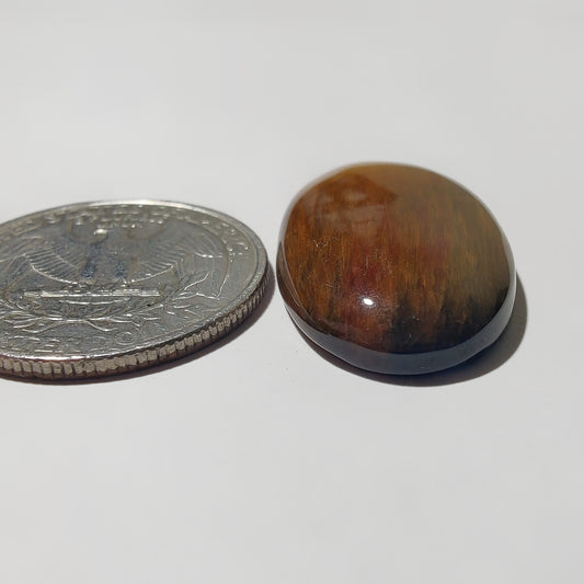 Tiger Eye Cabochon