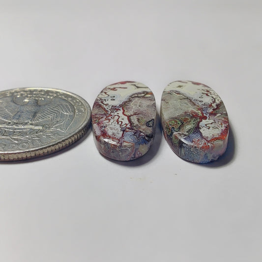 Crazy Lace Agate Pair