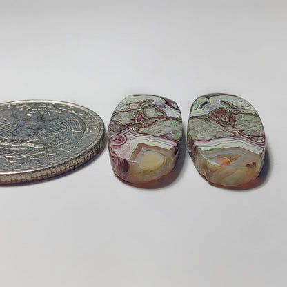 Crazy Lace Agate Pair