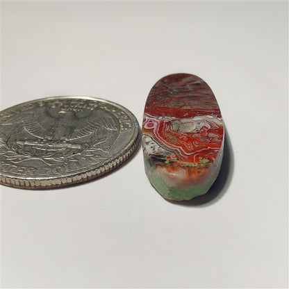 Crazy Lace Agate
