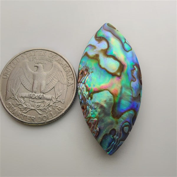 Abalone Shell gemstone cabochon - natural crystal healing stone for jewelry making by Gemivra