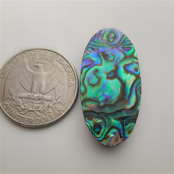 Abalone Shell gemstone cabochon - natural crystal healing stone for jewelry making by Gemivra