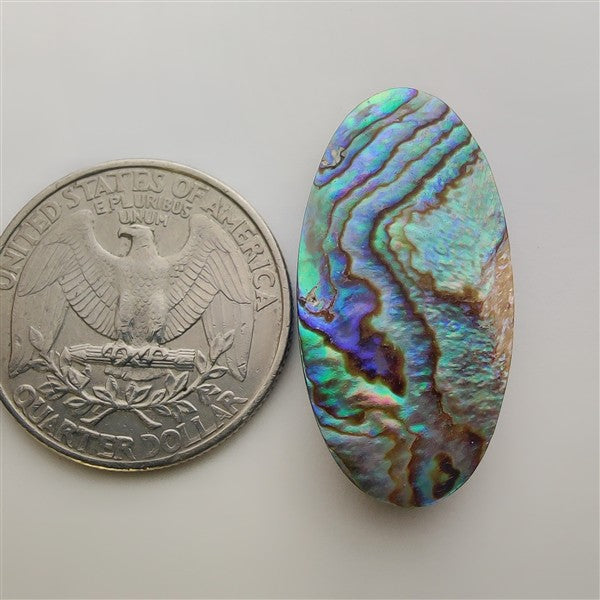 Abalone Shell gemstone cabochon - natural crystal healing stone for jewelry making by Gemivra