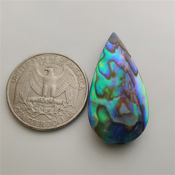 Abalone Shell gemstone cabochon - natural crystal healing stone for jewelry making by Gemivra