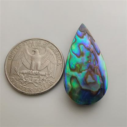 Abalone Shell gemstone cabochon - natural crystal healing stone for jewelry making by Gemivra