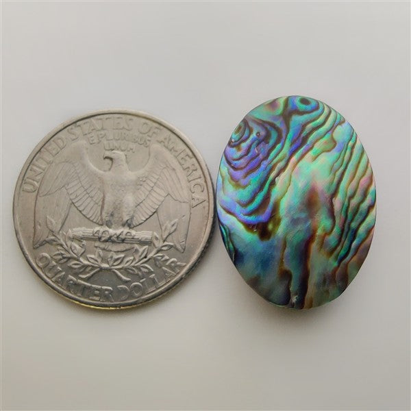 Abalone Shell gemstone cabochon - natural crystal healing stone for jewelry making by Gemivra